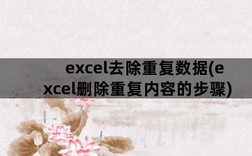 excel去除重复数据(excel删除重复内容的步骤)插图1