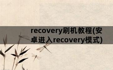 recovery刷机教程(安卓进入recovery模式)插图1