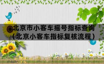 北京市小客车摇号指标查询（北京小客车指标复核流程）插图1