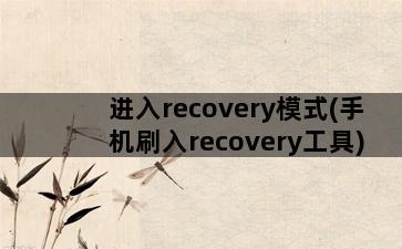 进入recovery模式(手机刷入recovery工具)插图1