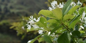 征信花了能下的贷款口子（信用卡网贷口子）